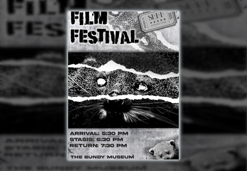 Binghamton Area Events Week of 11/3/25 - Election Day, John Green, First Friday and more